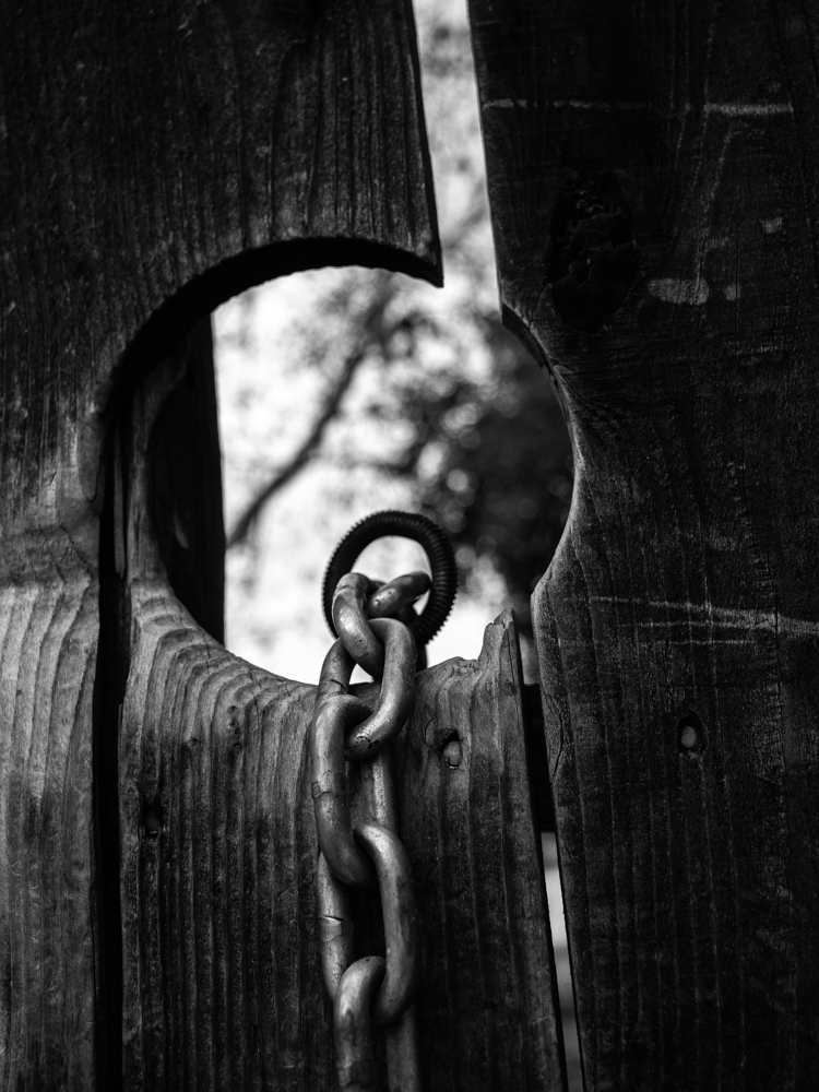 Descansco Gardens 08